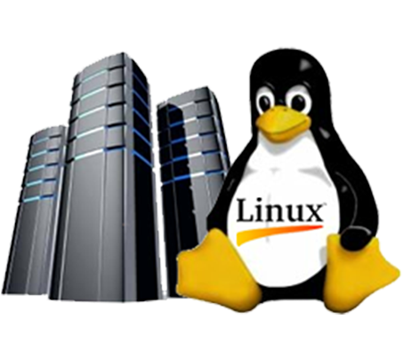linux hosting services at ahmedabad
